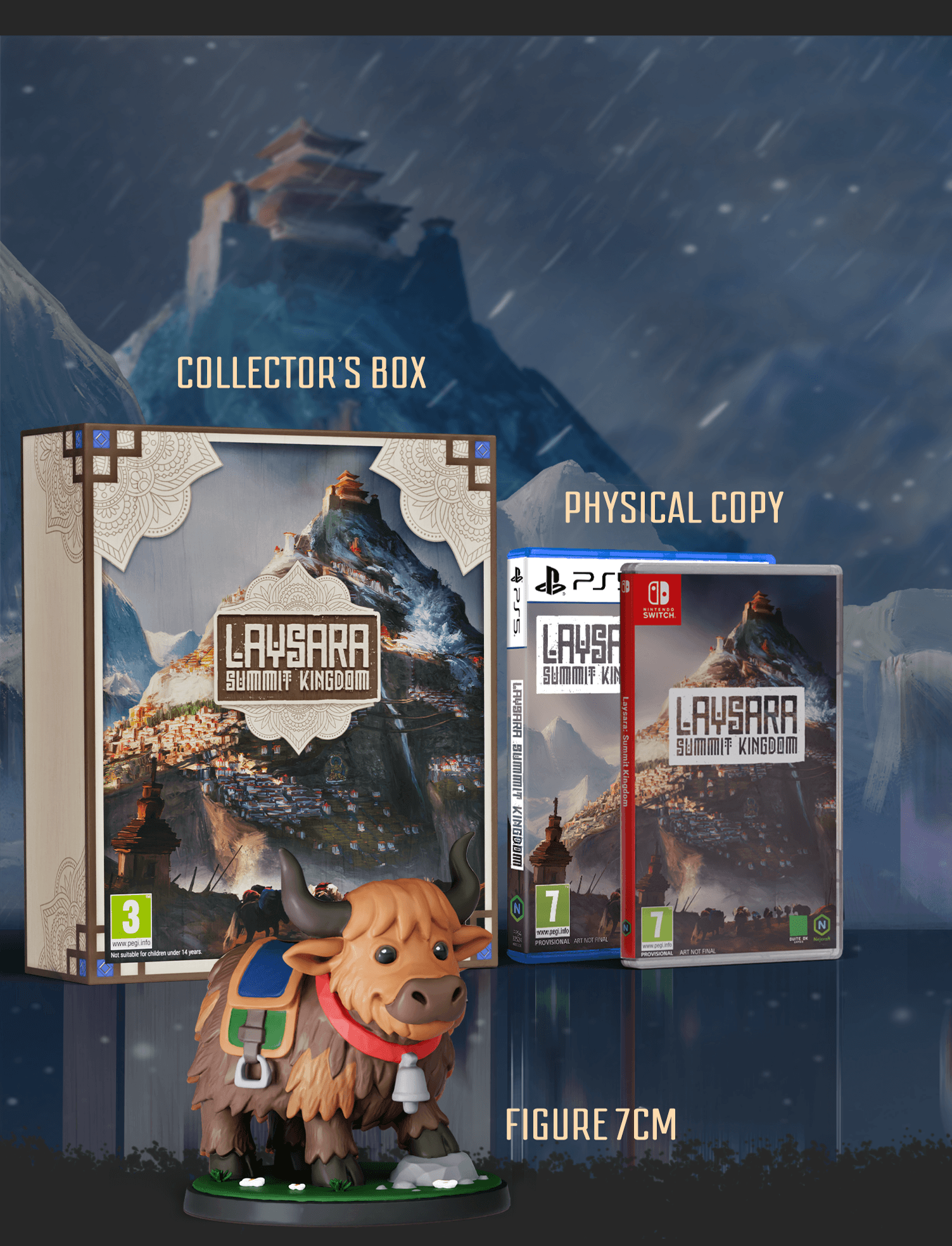 Featured collector's edition physical games available in the Nejcraft Store